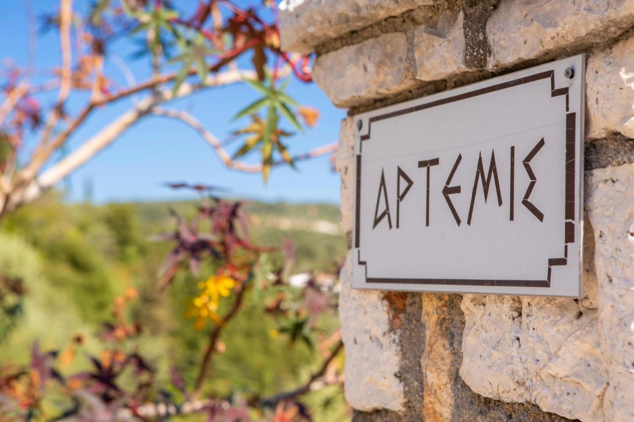 Villa Artemis Nikiana Exteriér fotografie